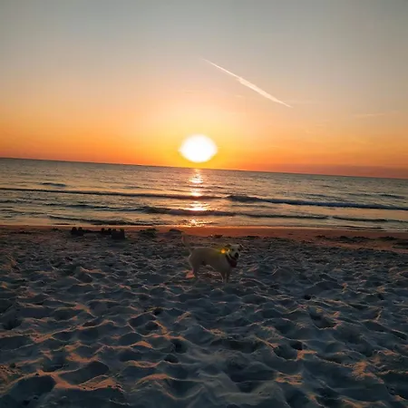 Majorka Privat bolig *