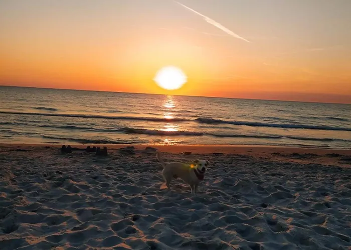 Majorka Δωμάτια σε οικογενειακή κατοικία *